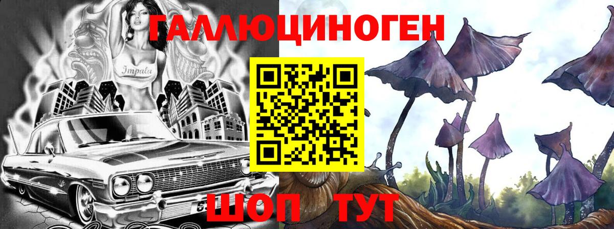 Галлюциногенные грибы Psilocybine cubensis  Псилоцибиновые грибы Psilocybe  Краснокаменск  закладка  Вход с VPN 