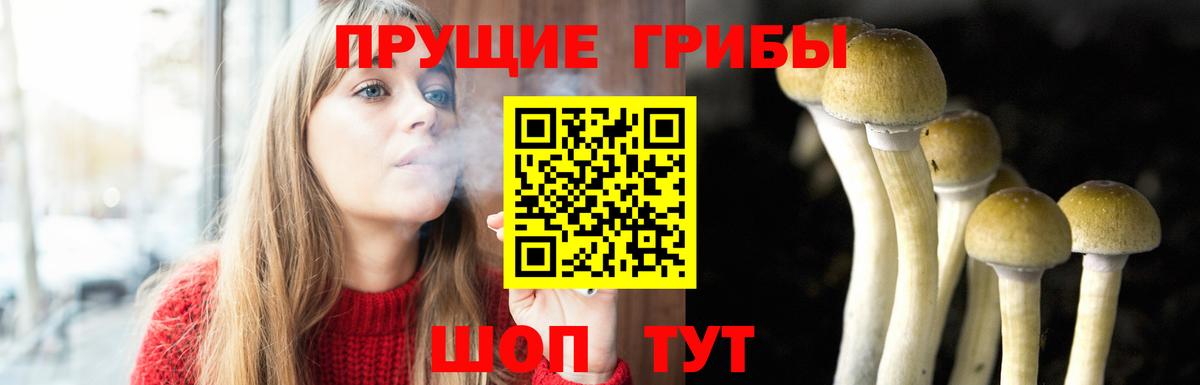 Псилоцибиновые грибы прущие грибы Краснокаменск